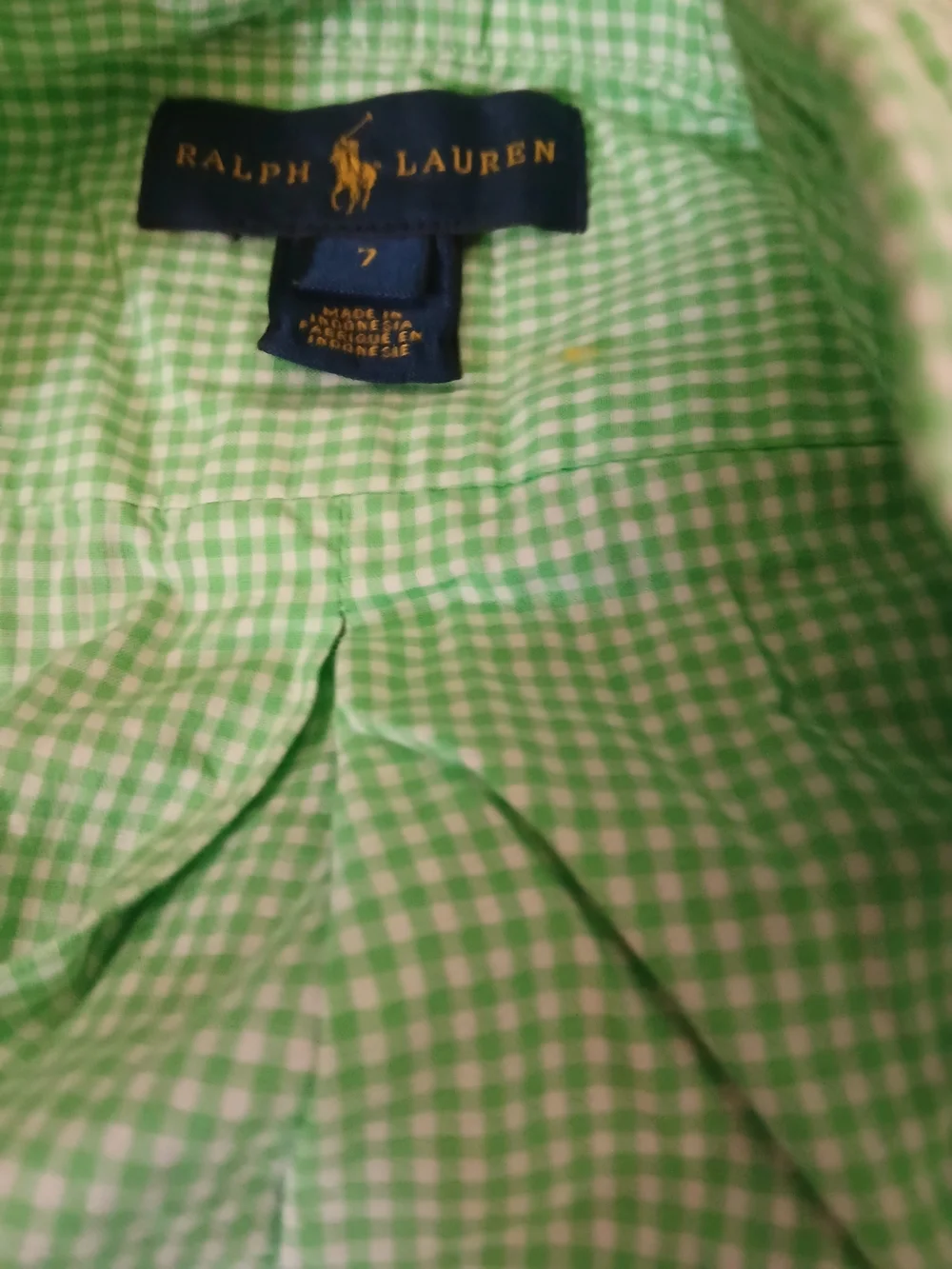 Ralph Lauren Gingham Button-Down Shirts in Light Green & Black